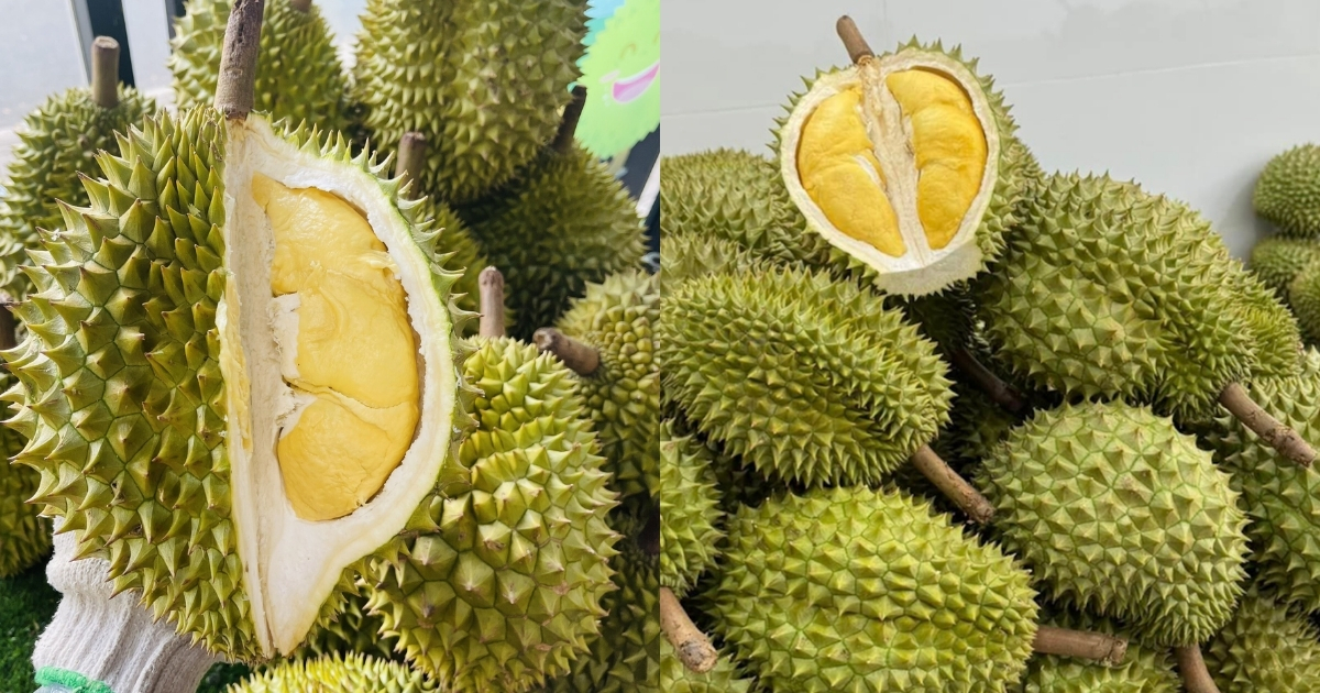 Sầu Riêng Đông Lạnh IQF Sầu Riêng Đông Lạnh IQF - Ảnh 4