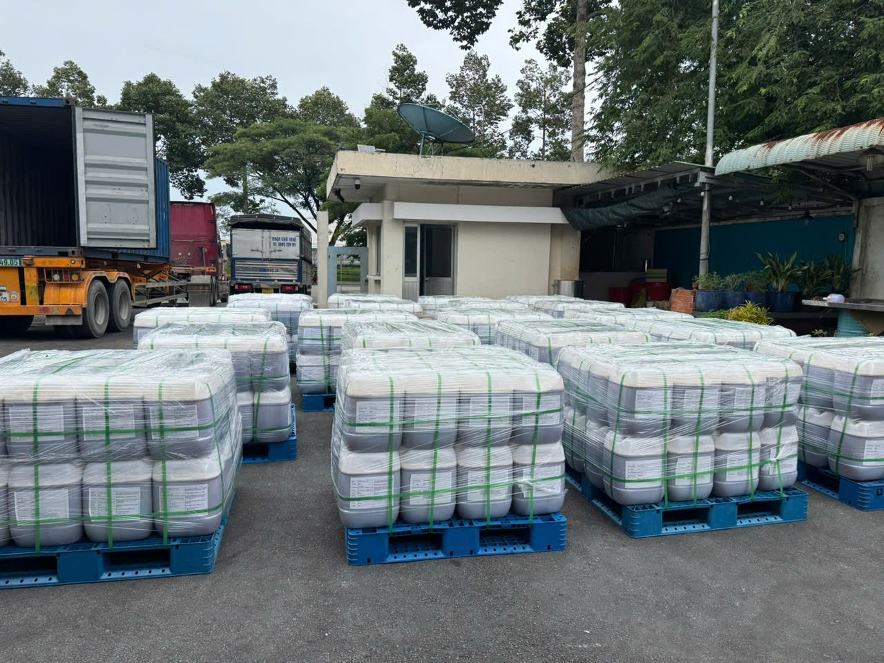 Mật Ong Mật Ong - Ảnh 4