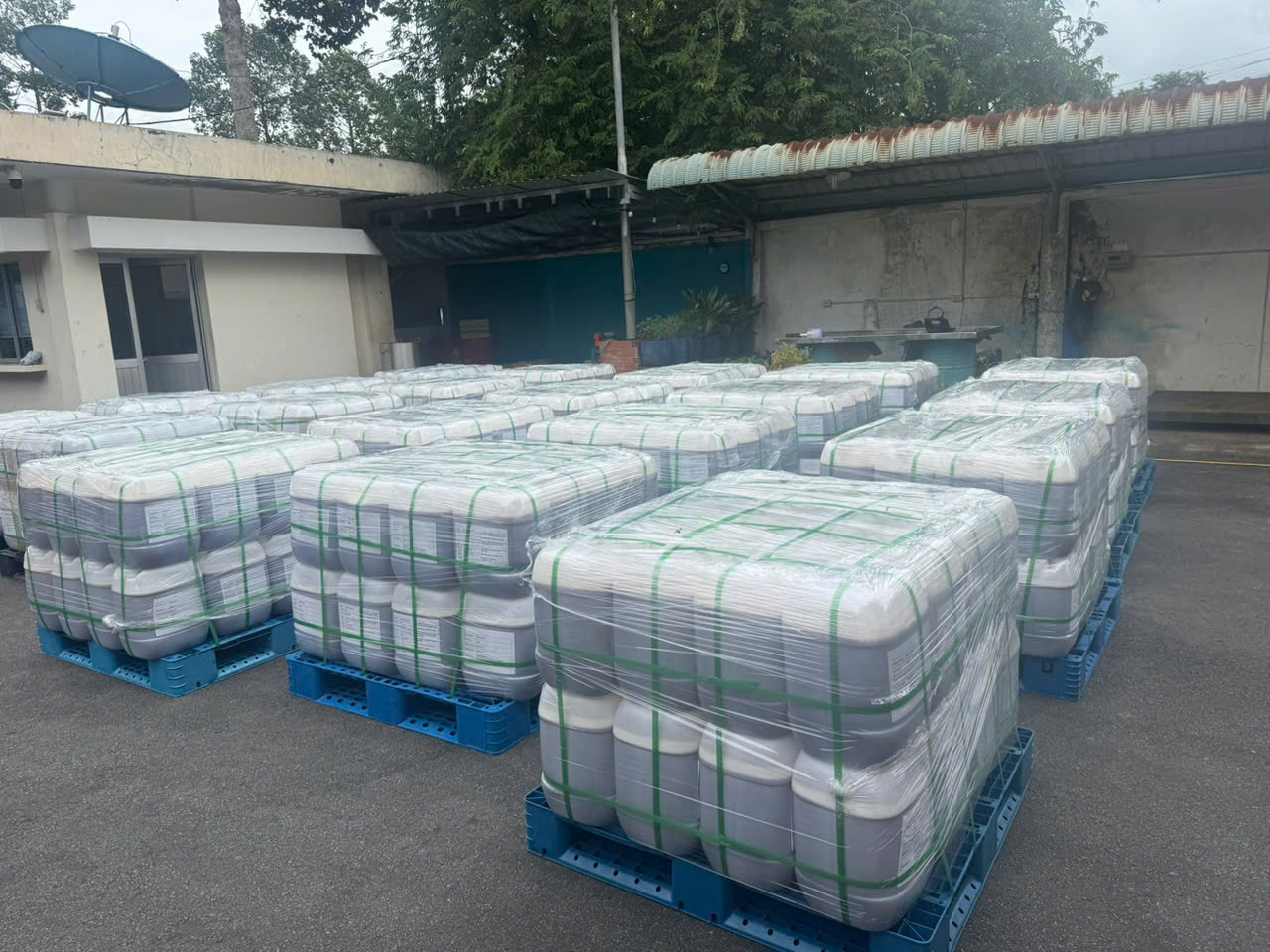 Mật Ong Mật Ong - Ảnh 5